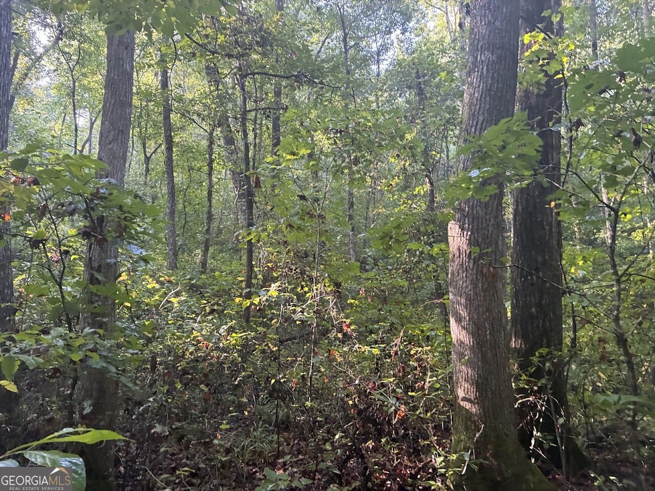 508 Kelley Creek Road Waco GA 30182