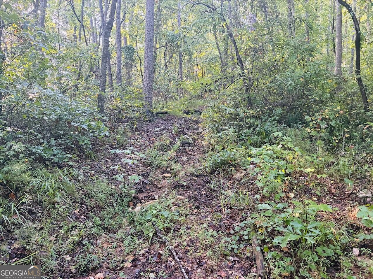 508 Kelley Creek Road Waco GA 30182