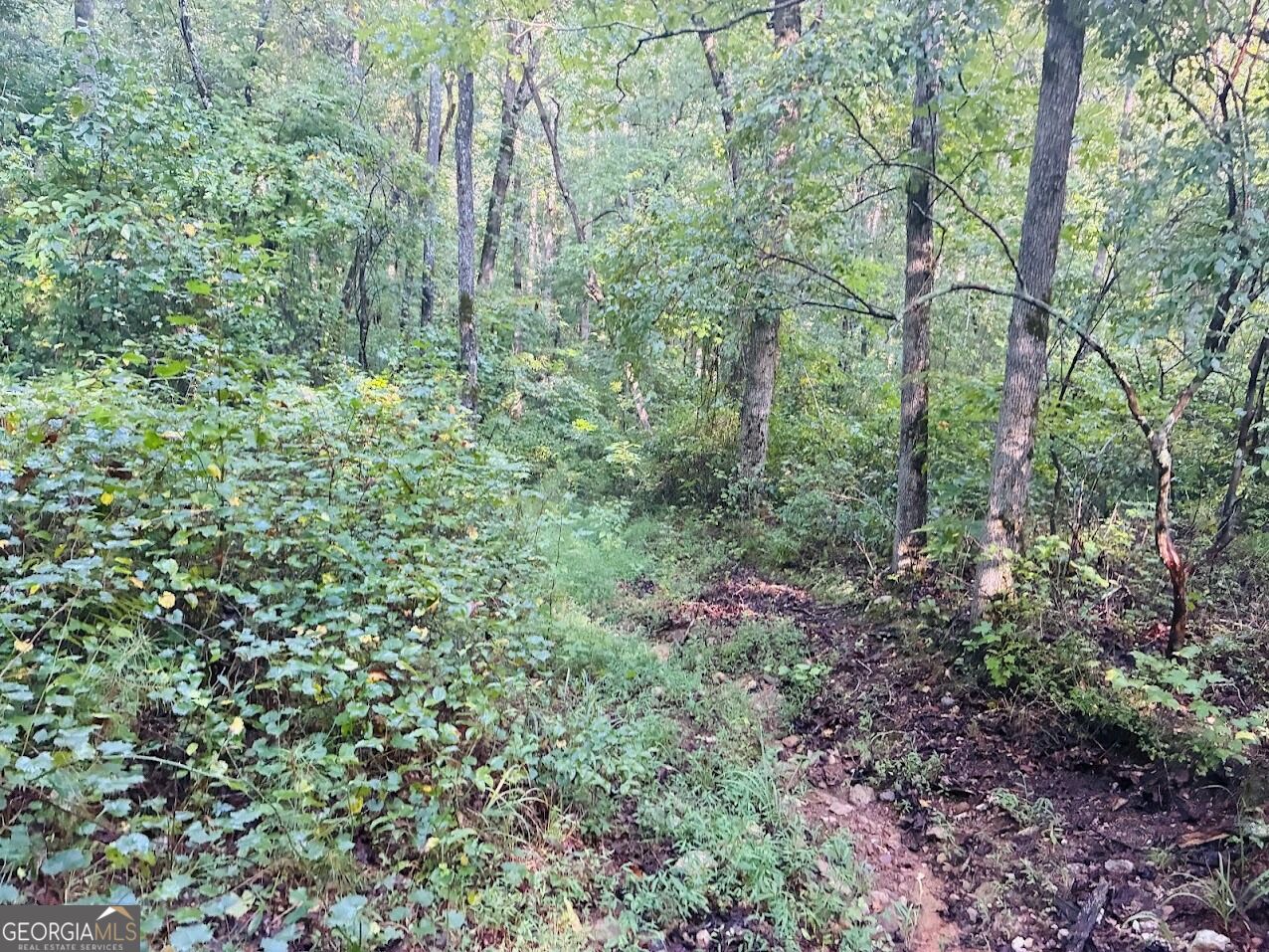 508 Kelley Creek Road Waco GA 30182