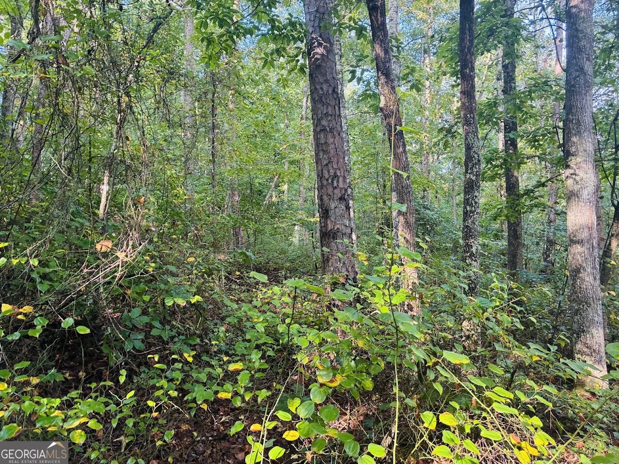 508 Kelley Creek Road Waco GA 30182