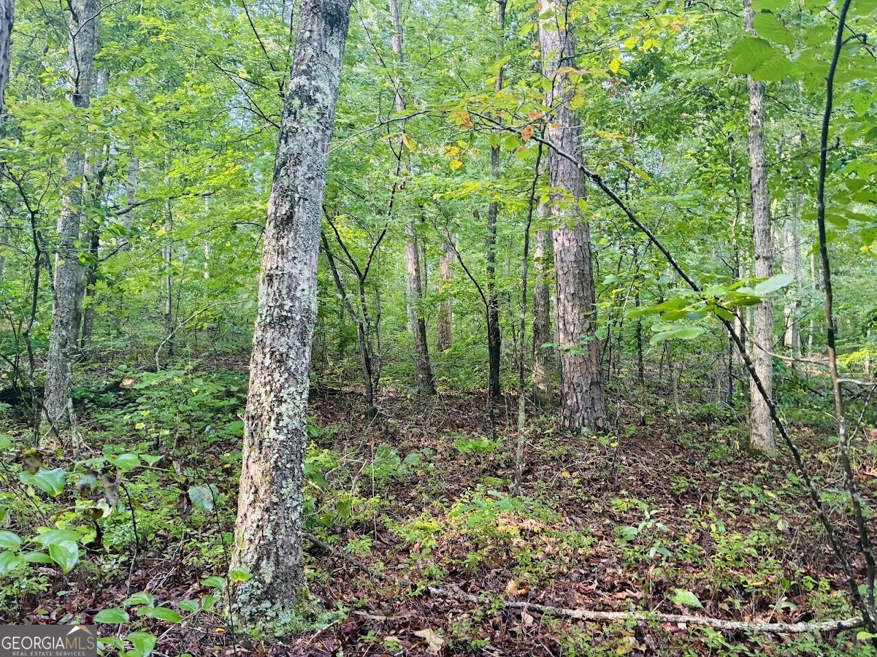 508 Kelley Creek Road Waco GA 30182