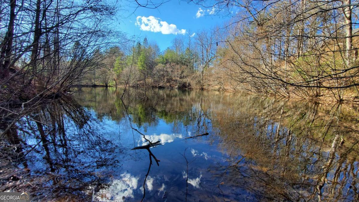 51+ Acre Mountain Cove Way Cherry Log GA 30522
