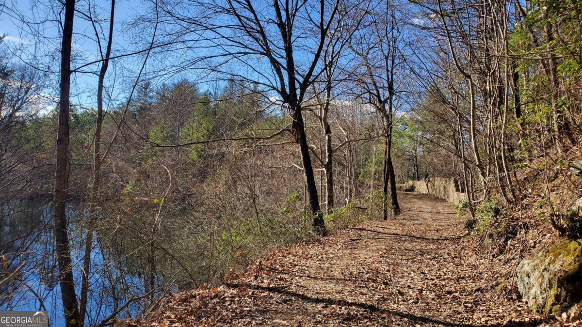 51+ Acre Mountain Cove Way Cherry Log GA 30522