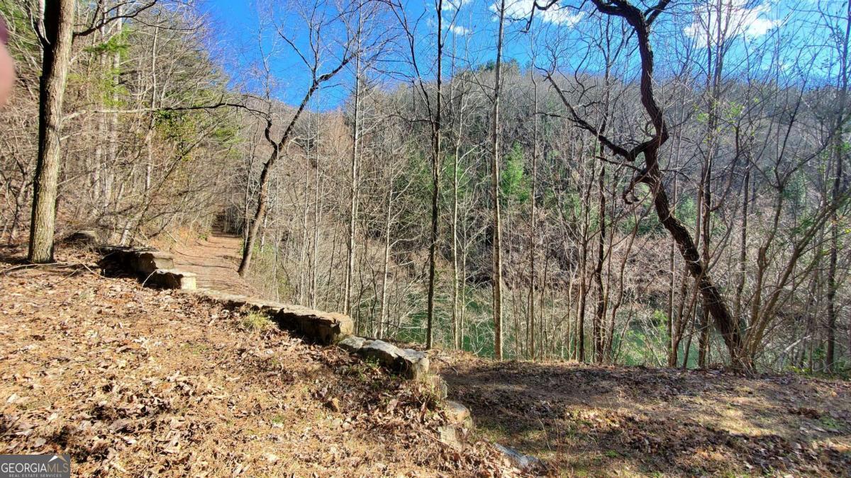 51+ Acre Mountain Cove Way Cherry Log GA 30522