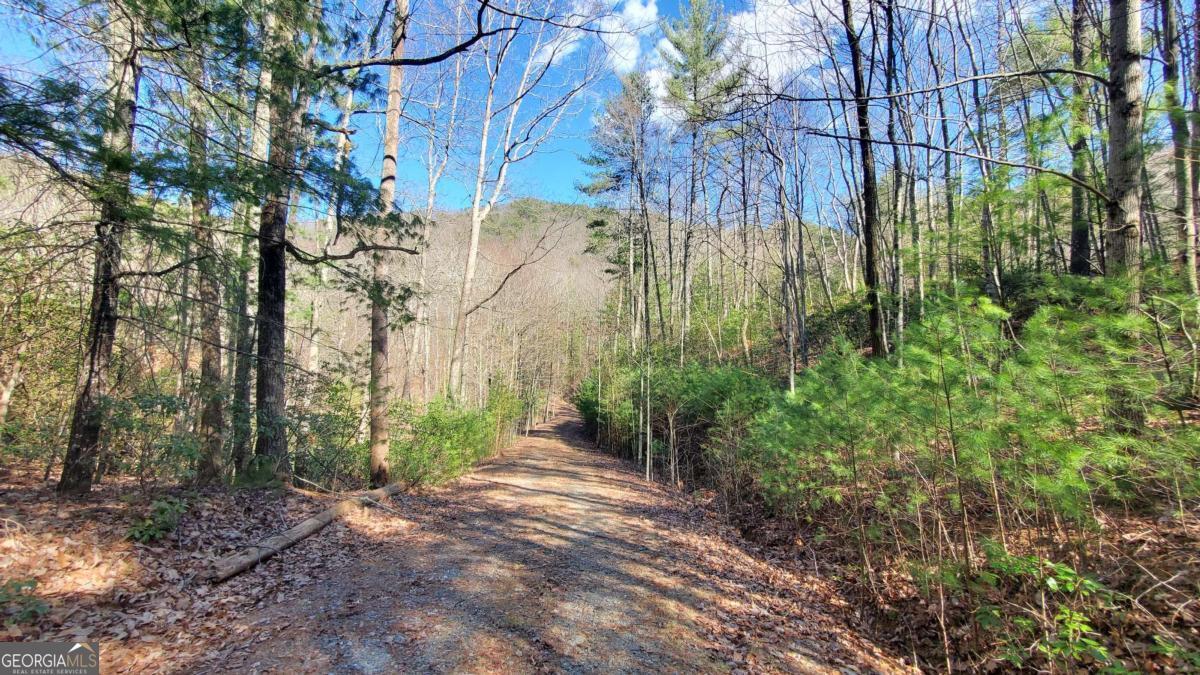 51+ Acre Mountain Cove Way Cherry Log GA 30522