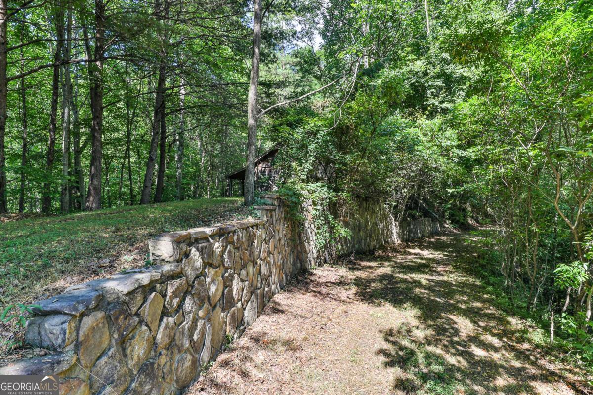 51+ Acre Mountain Cove Way Cherry Log GA 30522
