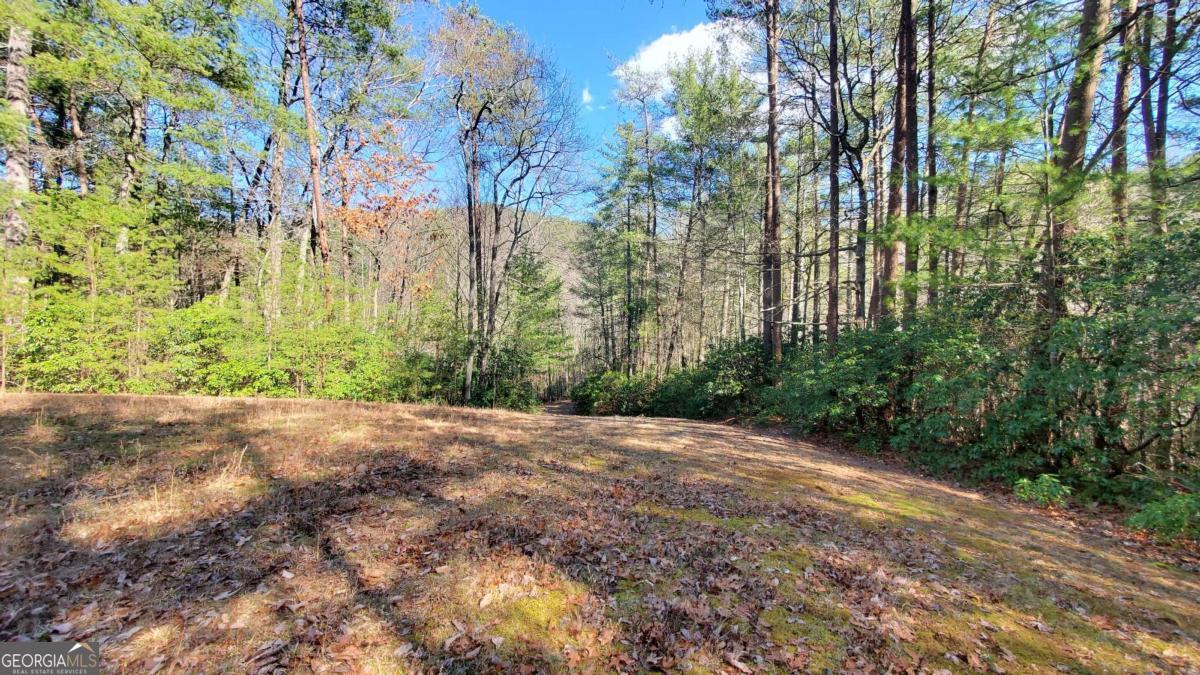 51+ Acre Mountain Cove Way Cherry Log GA 30522