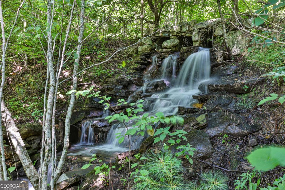 51+ Acre Mountain Cove Way Cherry Log GA 30522