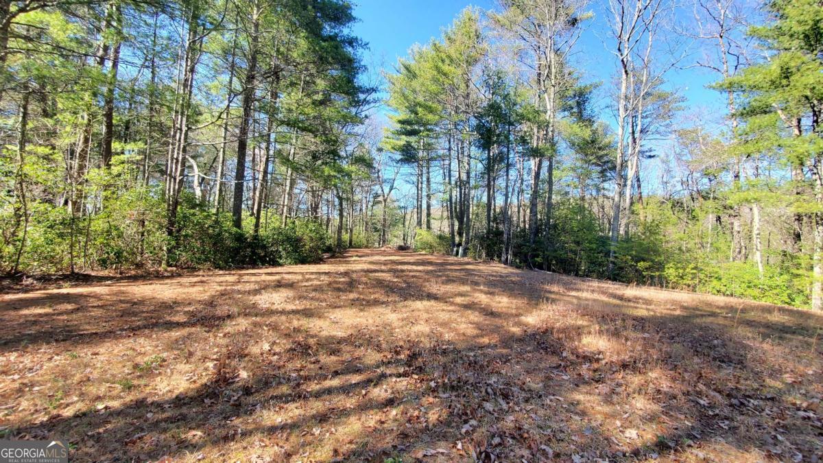 51+ Acre Mountain Cove Way Cherry Log GA 30522
