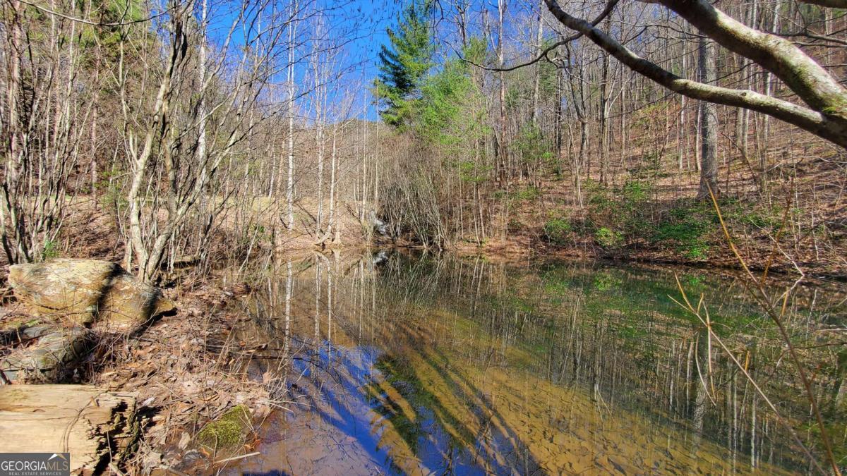 51+ Acre Mountain Cove Way Cherry Log GA 30522
