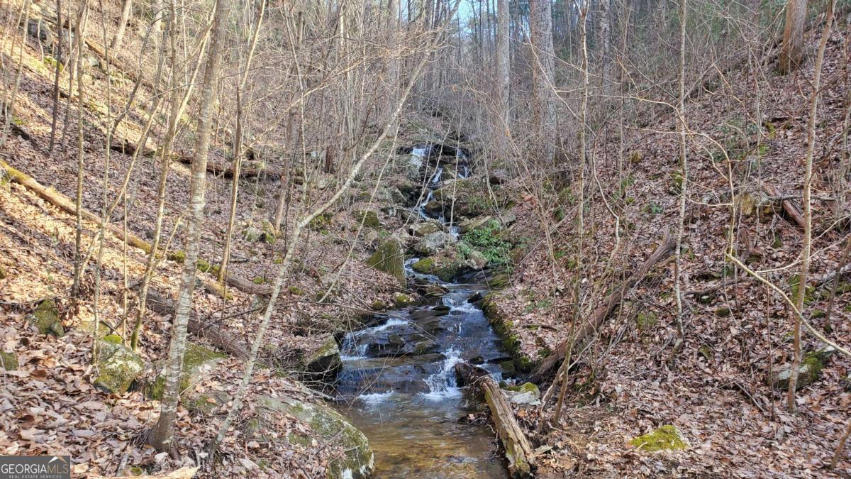 51+ Acre Mountain Cove Way Cherry Log GA 30522