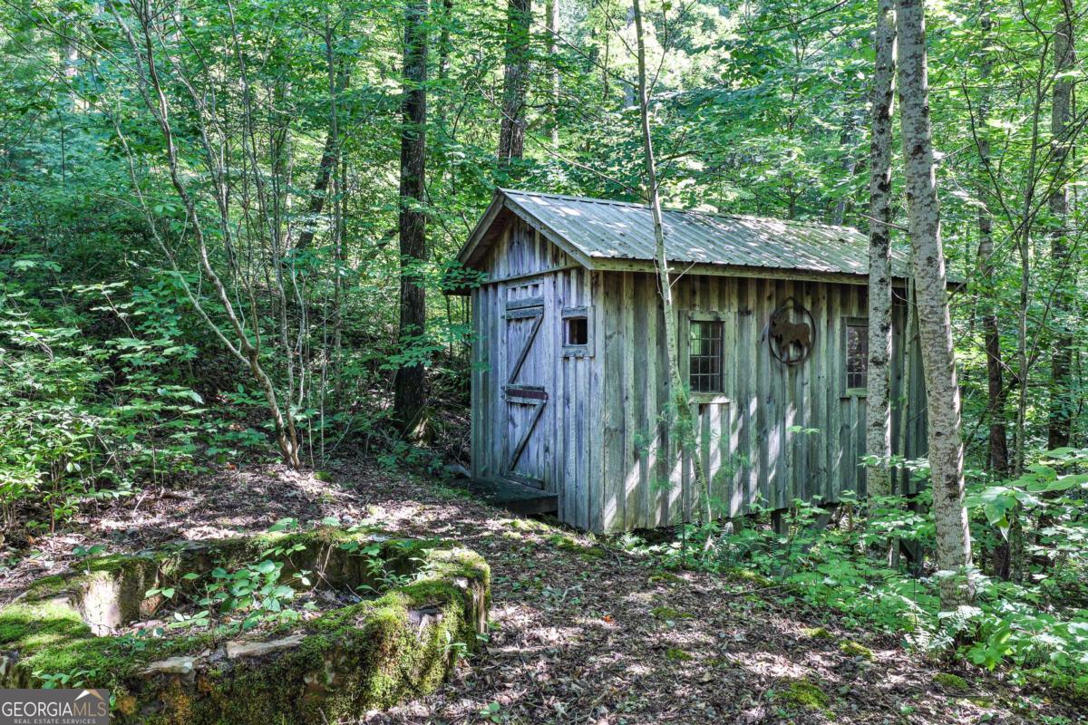 51+ Acre Mountain Cove Way Cherry Log GA 30522