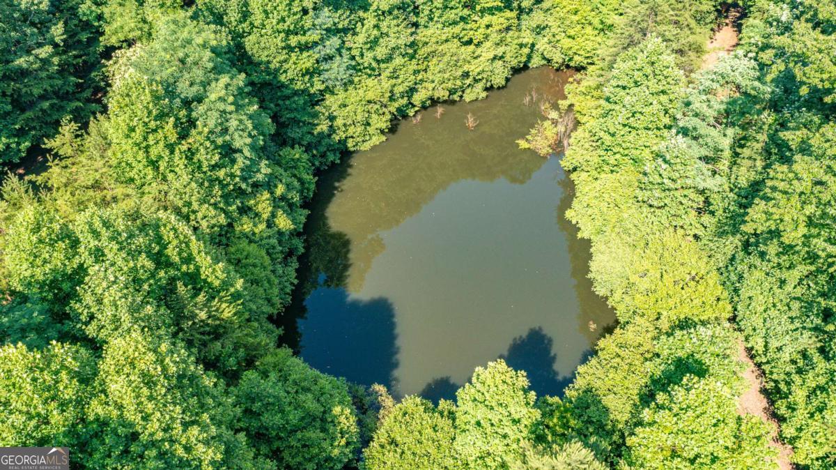 51+ Acre Mountain Cove Way Cherry Log GA 30522
