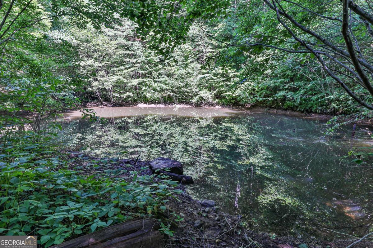 51+ Acre Mountain Cove Way Cherry Log GA 30522