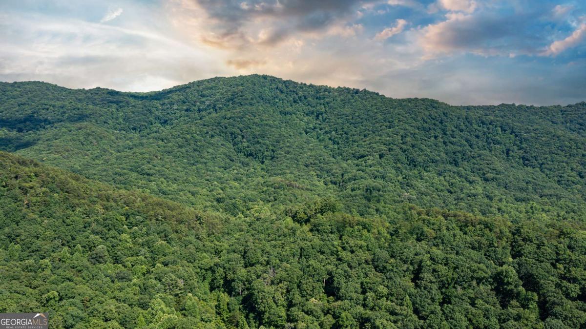 51+ Acre Mountain Cove Way Cherry Log GA 30522
