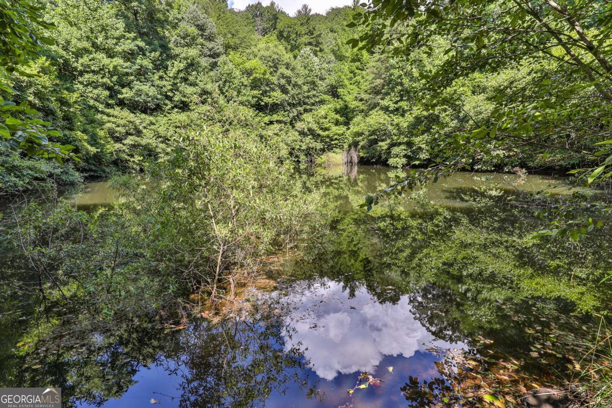 51+ Acre Mountain Cove Way Cherry Log GA 30522