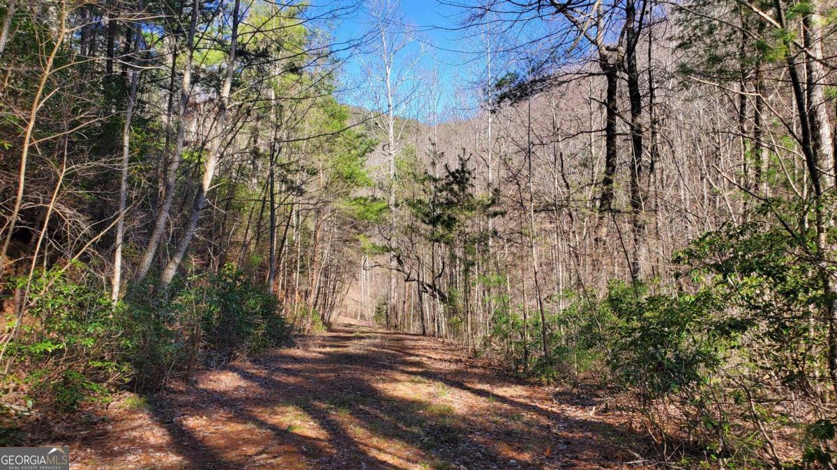 51+ Acre Mountain Cove Way Cherry Log GA 30522
