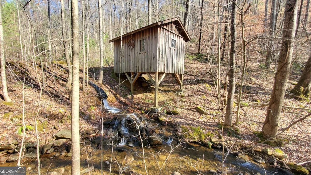 51+ Acre Mountain Cove Way Cherry Log GA 30522