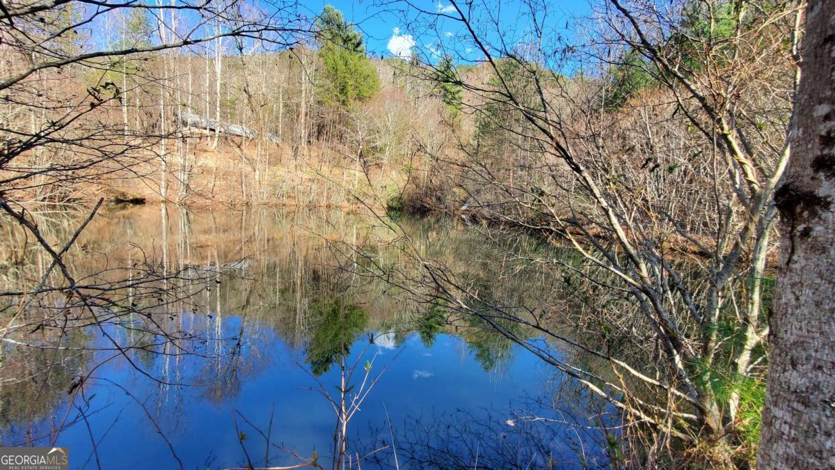 51+ Acre Mountain Cove Way Cherry Log GA 30522