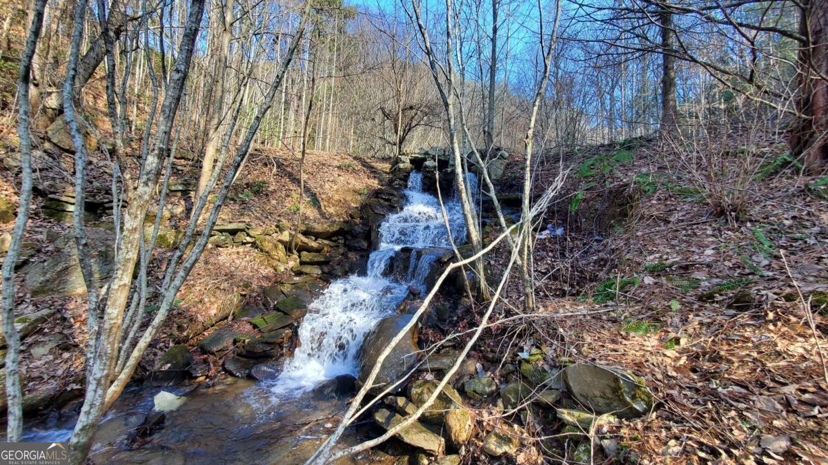51+ Acre Mountain Cove Way Cherry Log GA 30522