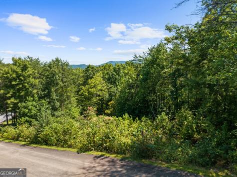 Lot 26 Staurolite Mountain Road Blue Ridge GA 30513