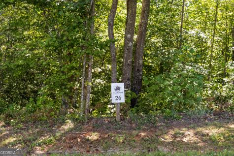 Lot 26 Staurolite Mountain Road Blue Ridge GA 30513