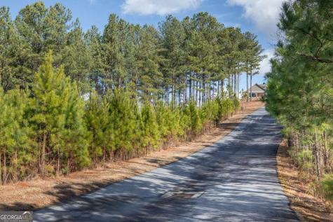 Lot 74 Thirteen Hundred Blairsville GA 30512