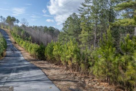 Lot 74 Thirteen Hundred Blairsville GA 30512