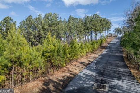 Lot 74 Thirteen Hundred Blairsville GA 30512