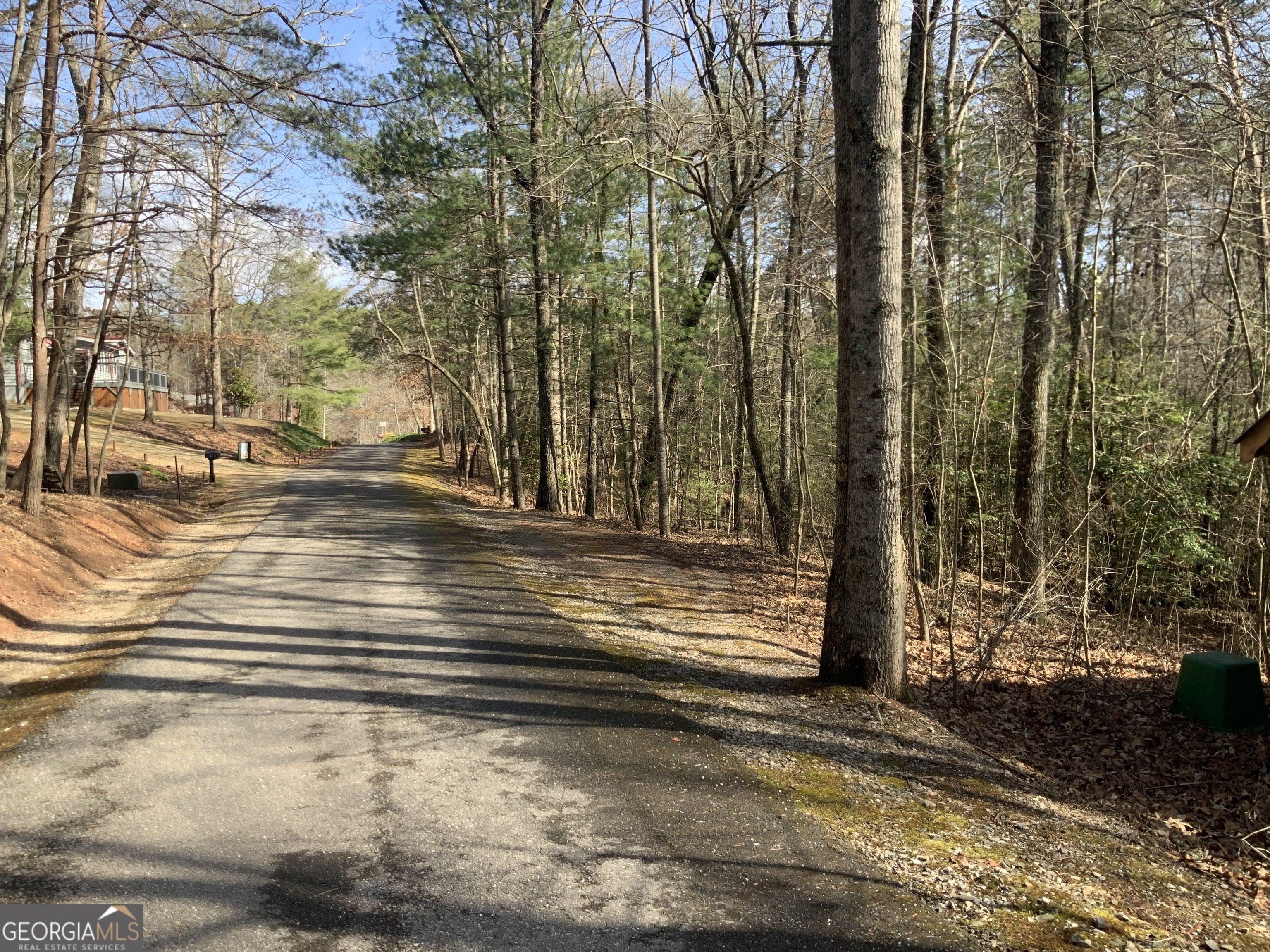 (3) Rizzitello Lane Blairsville GA 30512