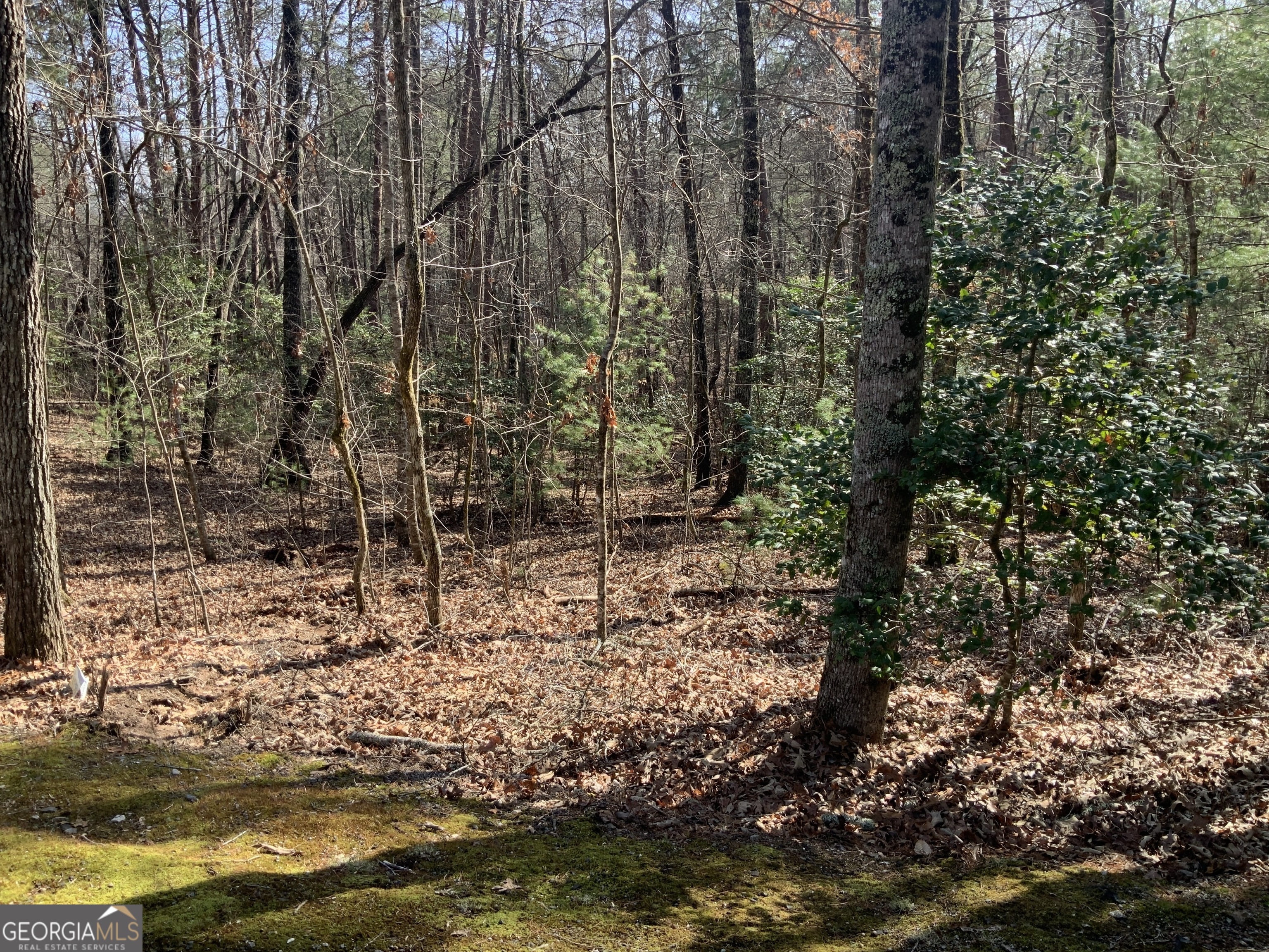 (3) Rizzitello Lane Blairsville GA 30512