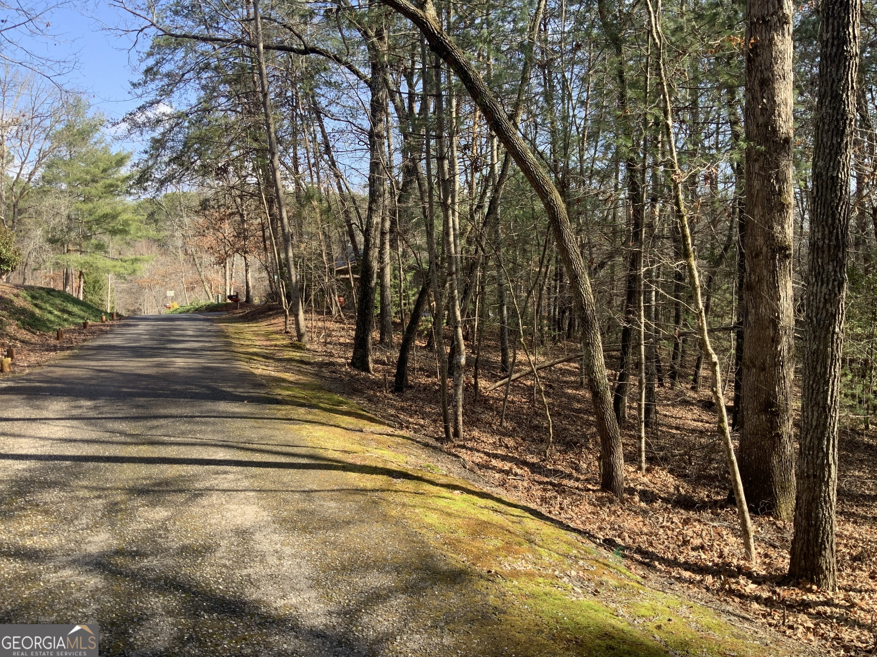 (3) Rizzitello Lane Blairsville GA 30512