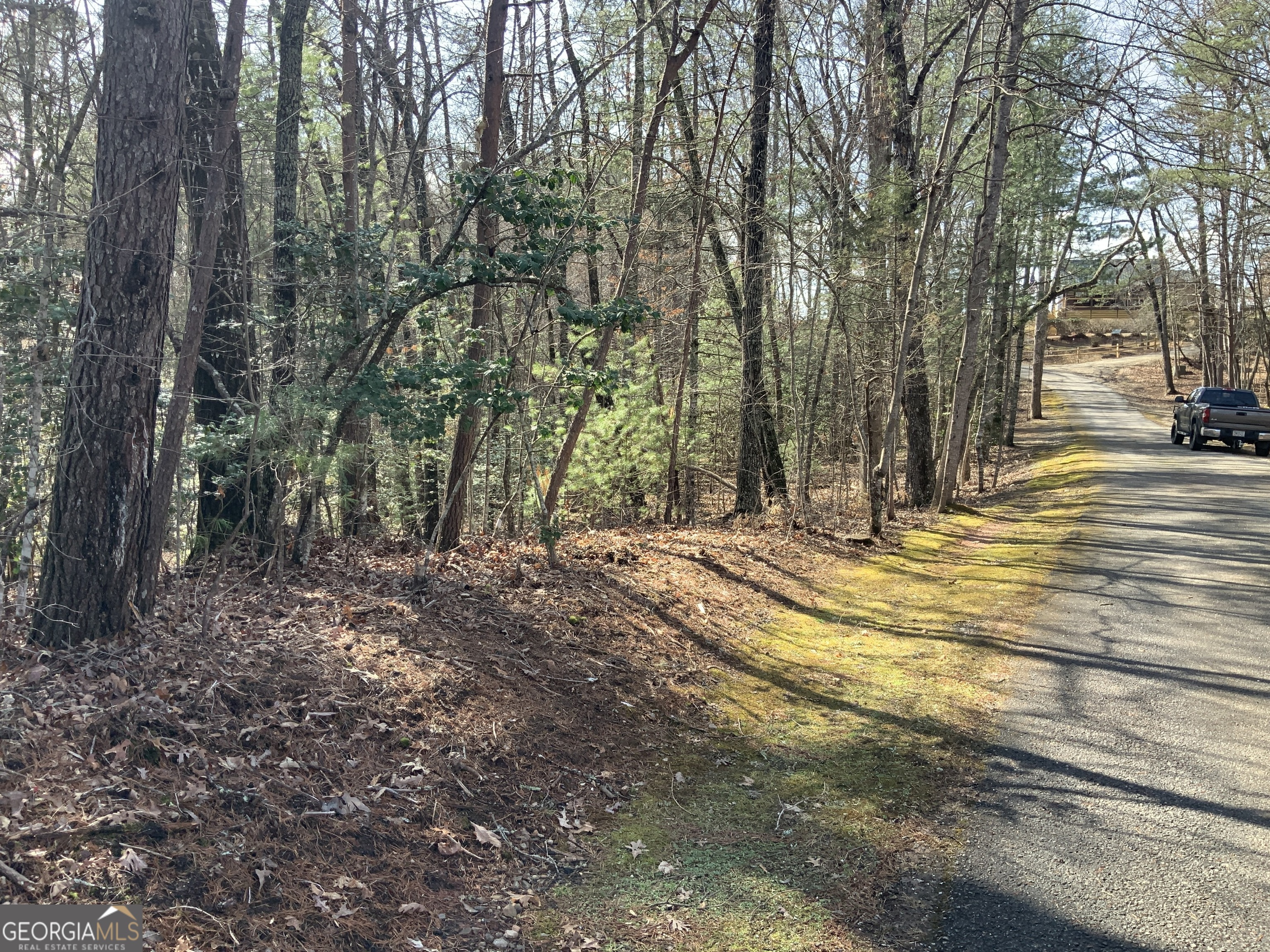 (3) Rizzitello Lane Blairsville GA 30512