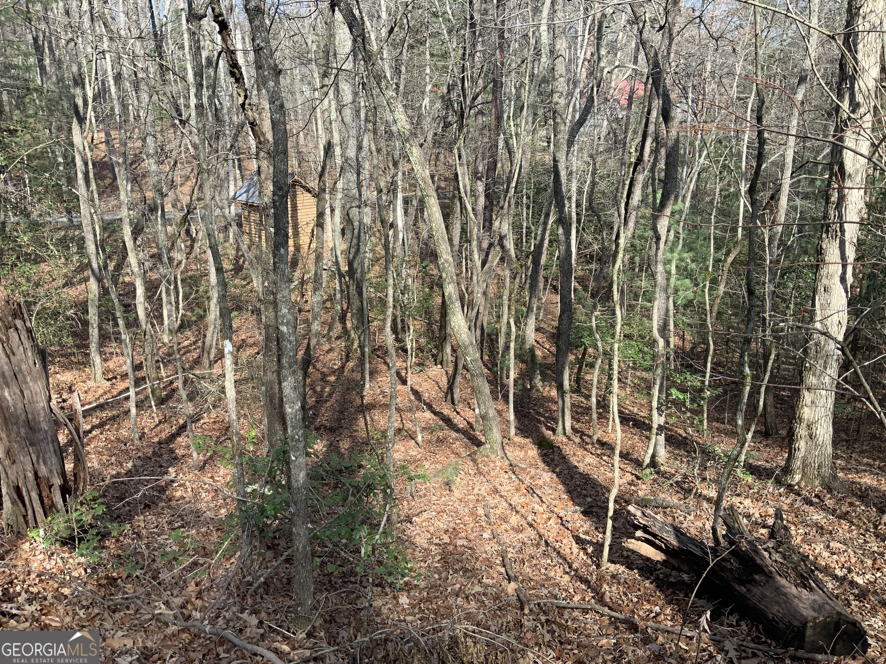 (3) Rizzitello Lane Blairsville GA 30512