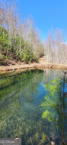 457 Youngblood Drive Blairsville GA 30512