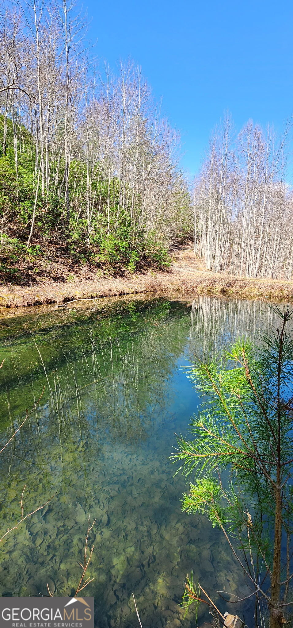 457 Youngblood Drive Blairsville GA 30512