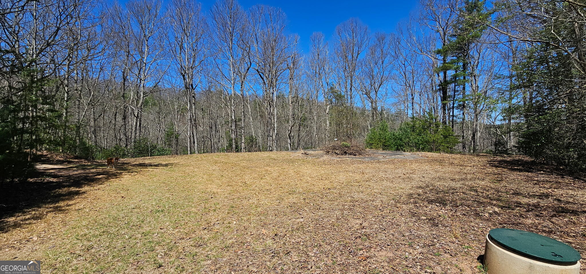457 Youngblood Drive Blairsville GA 30512