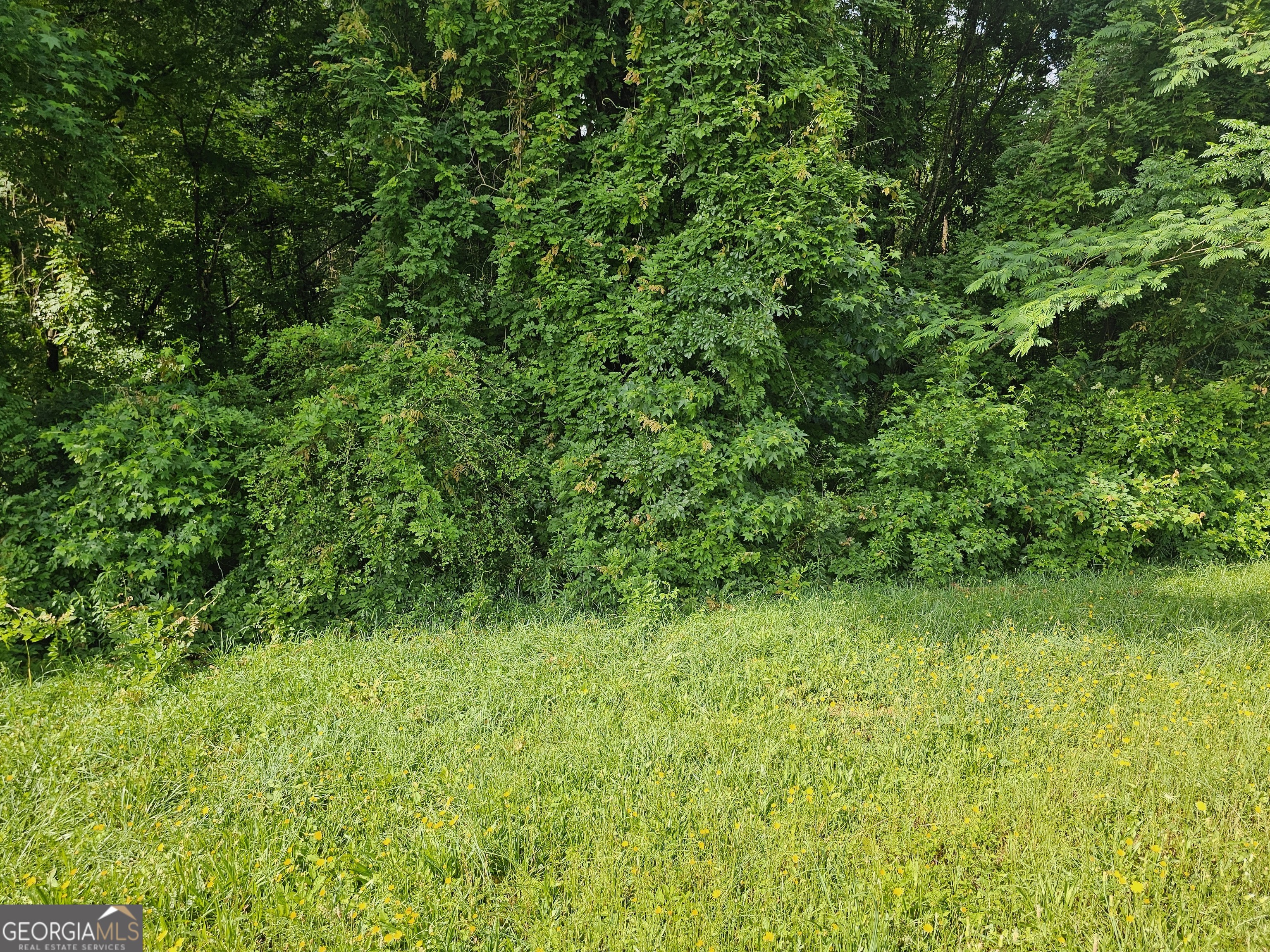 12109 Brown Bridge Road Covington GA 30016