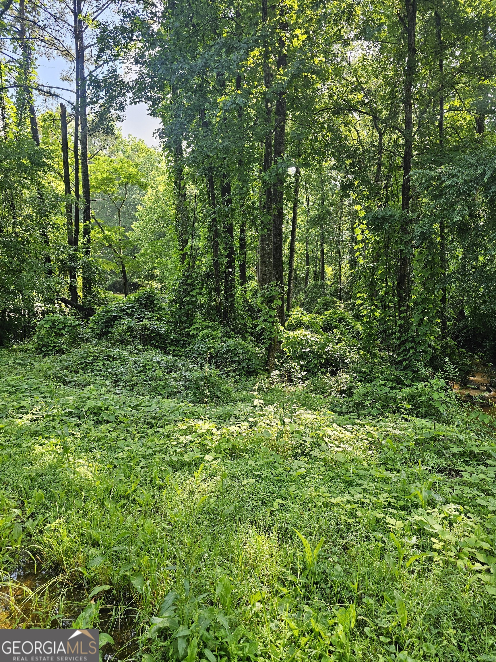 12109 Brown Bridge Road Covington GA 30016