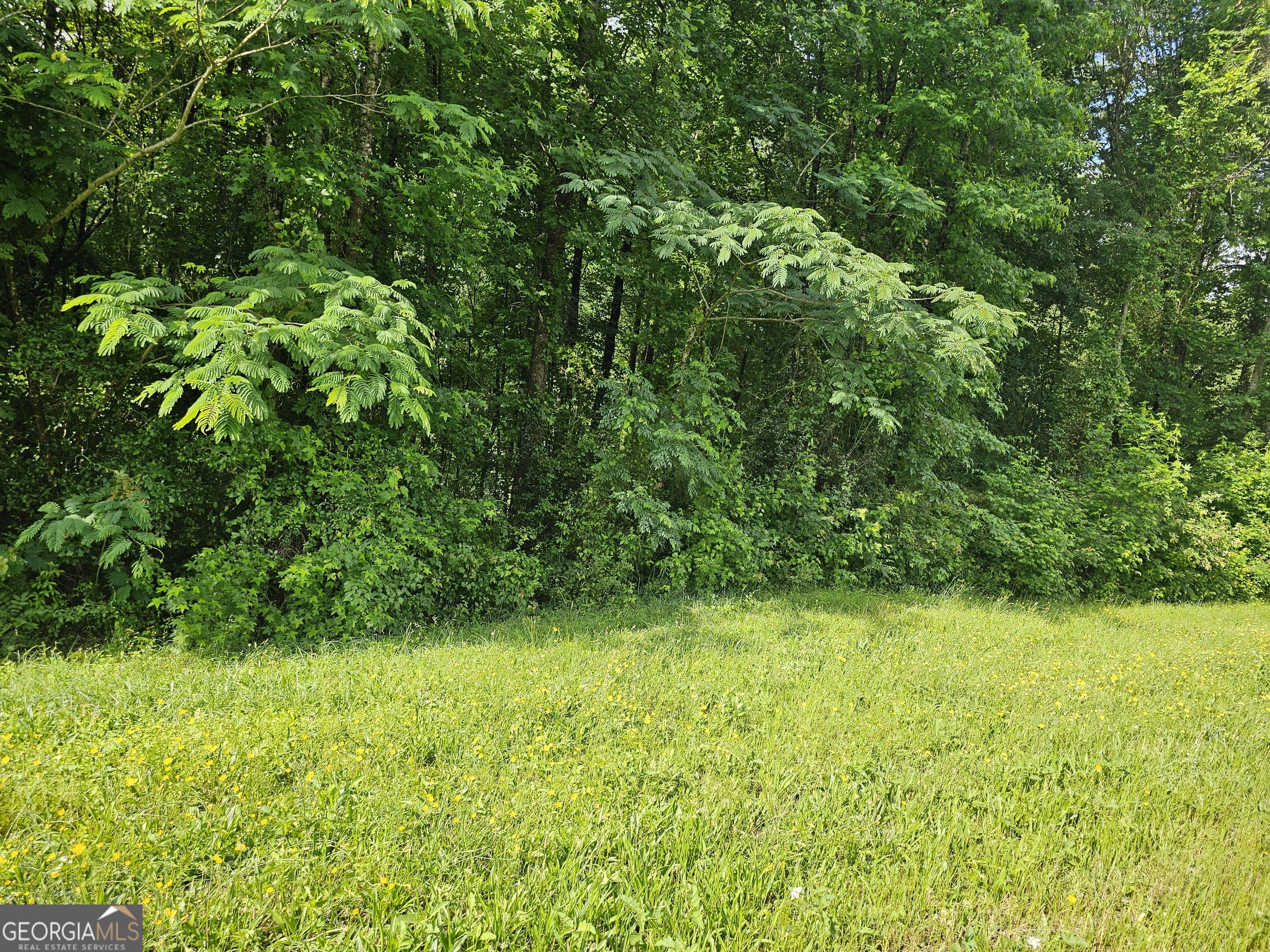 12109 Brown Bridge Road Covington GA 30016