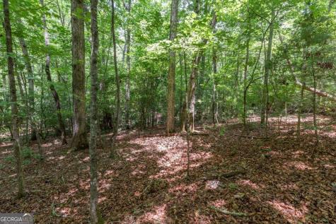 6 Ac Solar Drive Blue Ridge GA 30513