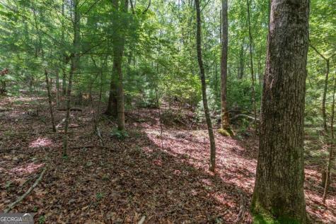 6 Ac Solar Drive Blue Ridge GA 30513