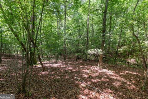 6 Ac Solar Drive Blue Ridge GA 30513