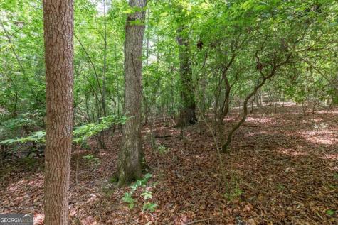 6 Ac Solar Drive Blue Ridge GA 30513