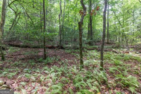 6 Ac Solar Drive Blue Ridge GA 30513