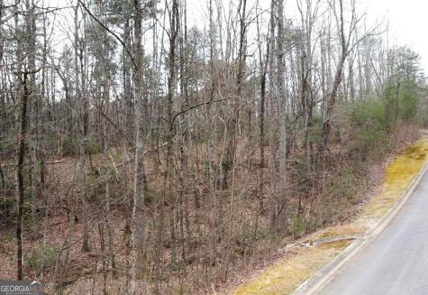 Lot 1446 Glazenwood Drive Clarkesville GA 30523