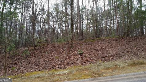 Lot 1446 Glazenwood Drive Clarkesville GA 30523