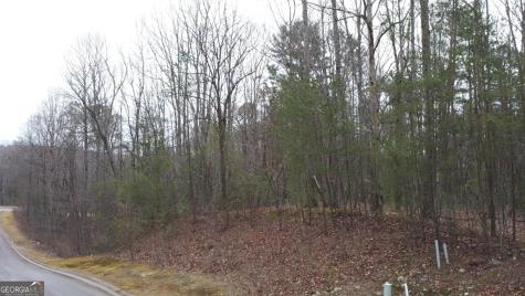 Lot 1446 Glazenwood Drive Clarkesville GA 30523