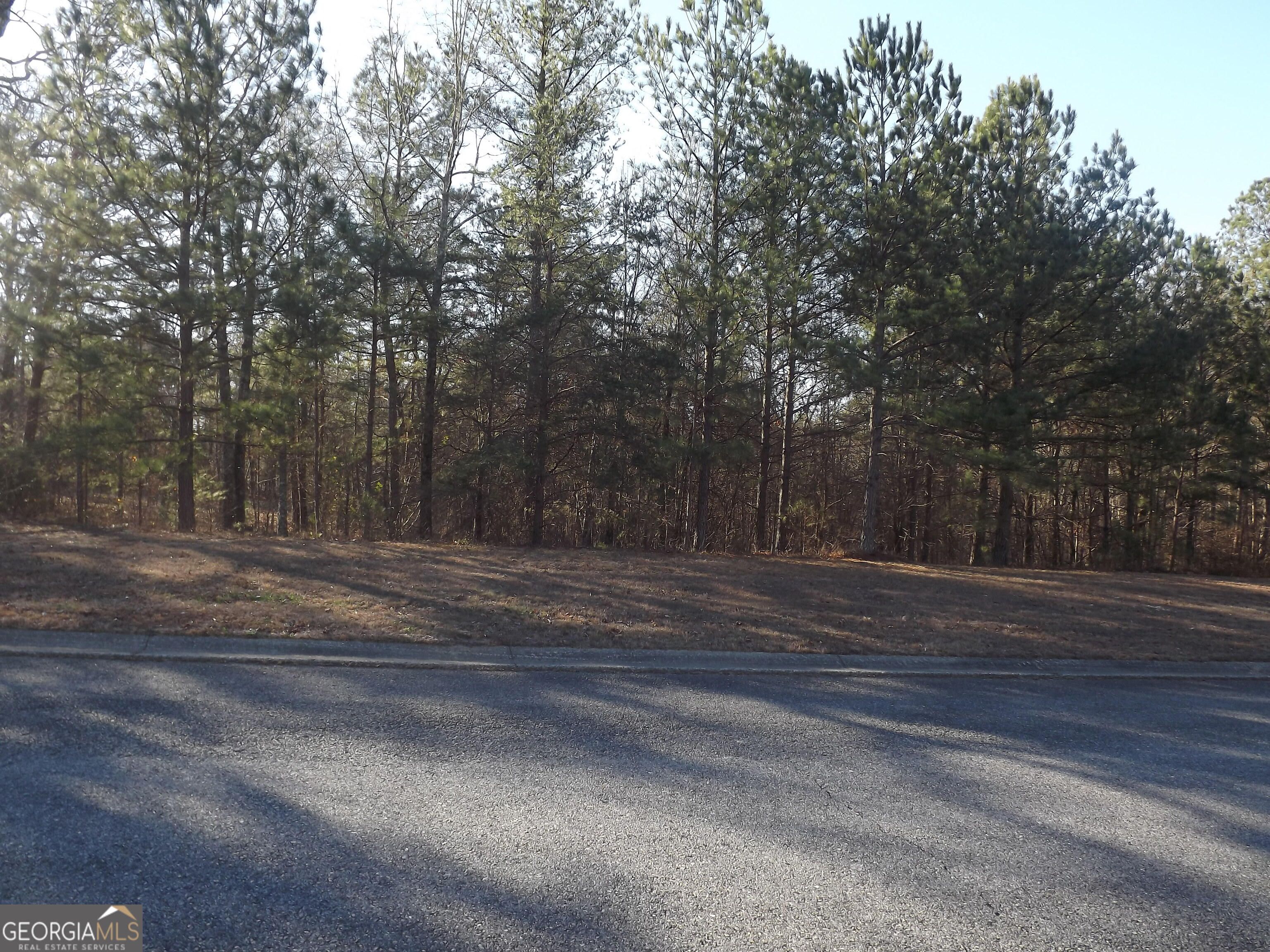 Lot 10 Sunset Loop Cedartown GA 30125