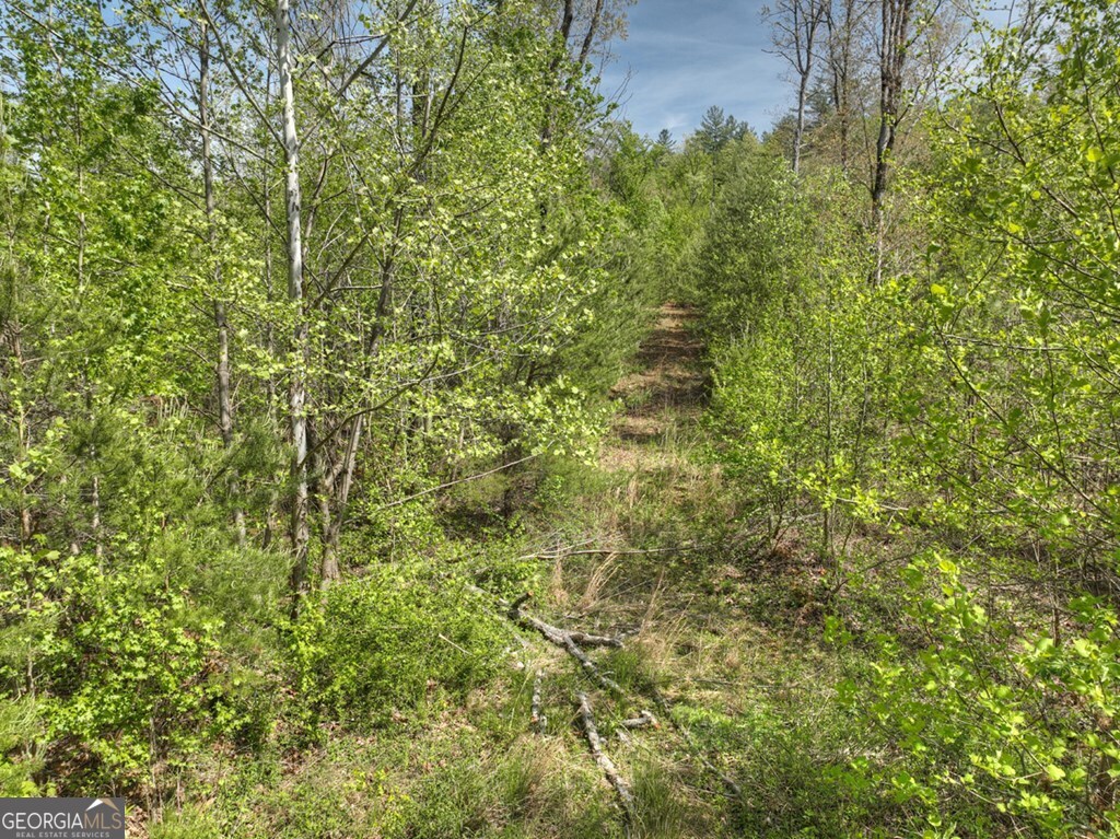 138.06AC N Highway 515 Ellijay GA 30540
